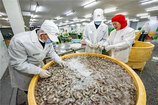 “魚鮮蟹肥”撲騰出海！汕頭海關助牛田洋水產(chǎn)出口