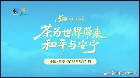 “茶為世界帶來和平與安寧”2025.5.21國際茶日健康飲茶活動在中國雄安舉辦